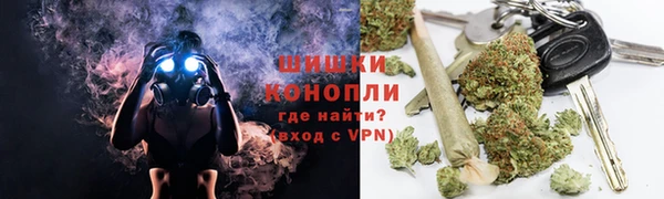 сатива Армянск