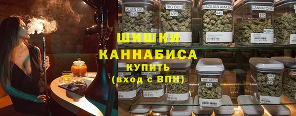 сатива Армянск