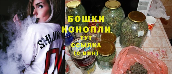 бошки Аркадак