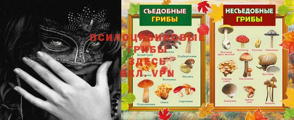 сатива Армянск